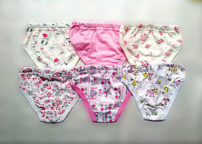 Труси для дівчинки 8--9 місяців, від 1 до 9 років 28(98/104)