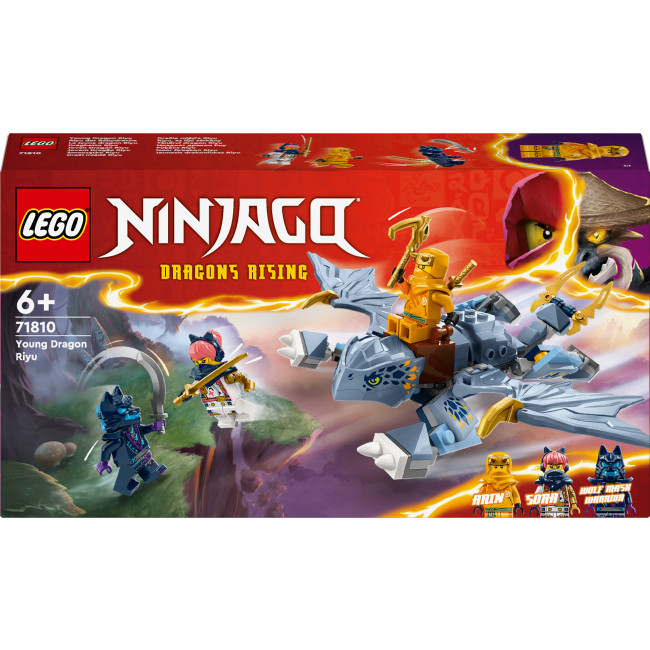 Конструктор LEGO Ninjago Молодий дракон Рію 71810, фото 1