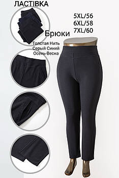Штани жіночі Ластівка, розміри 5XL-7XL, асорті, А5204-5