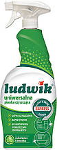Піна-спрей для чищення універсальна Ludwik Express System 750 мл