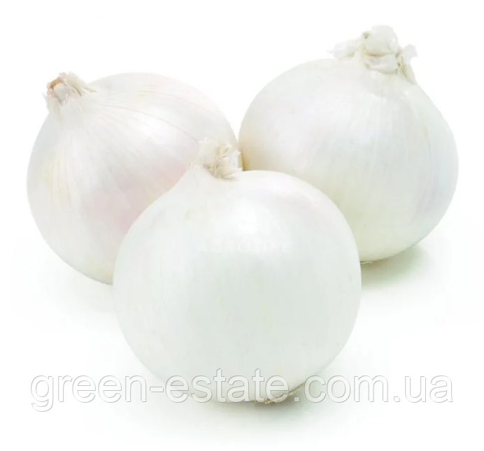 Цибуля Вайт Меджестик 8/21
