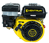 Двигун бензиновий Кентавр ДВЗ-210Б, фото 2