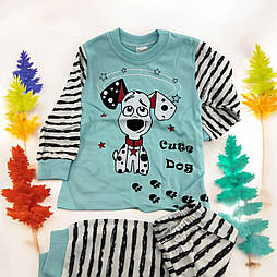 Піжама дитяча 1, 2, 3 роки Туреччина бавовна з довгими рукавами бірюзова (ПЖМ322)