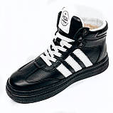 Жіночі шкіряні кеди чорного кольору з білими вставками на шерсті Mida 240709(461ш) розмір 36, фото 8