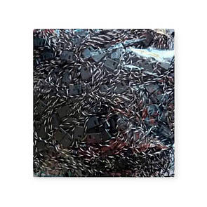 Біркотримач мотузковий чорно-білий з пластиковою пломбою для кріплення бірок 1000 шт