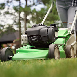 Дача, сад, огород