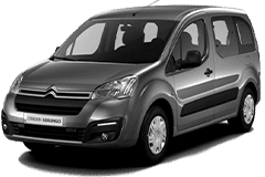 Бризковики для Citroën Multispace 2019+