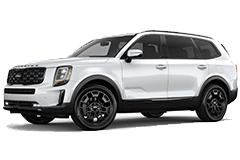 Бризковики для Kia Telluride 2020+