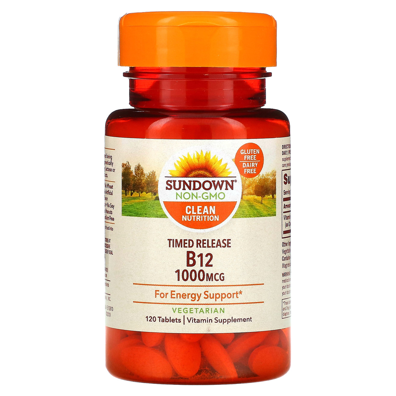 Sundown Naturals, Вітамін B12, 1000 мкг, 120 таблеток, Київ