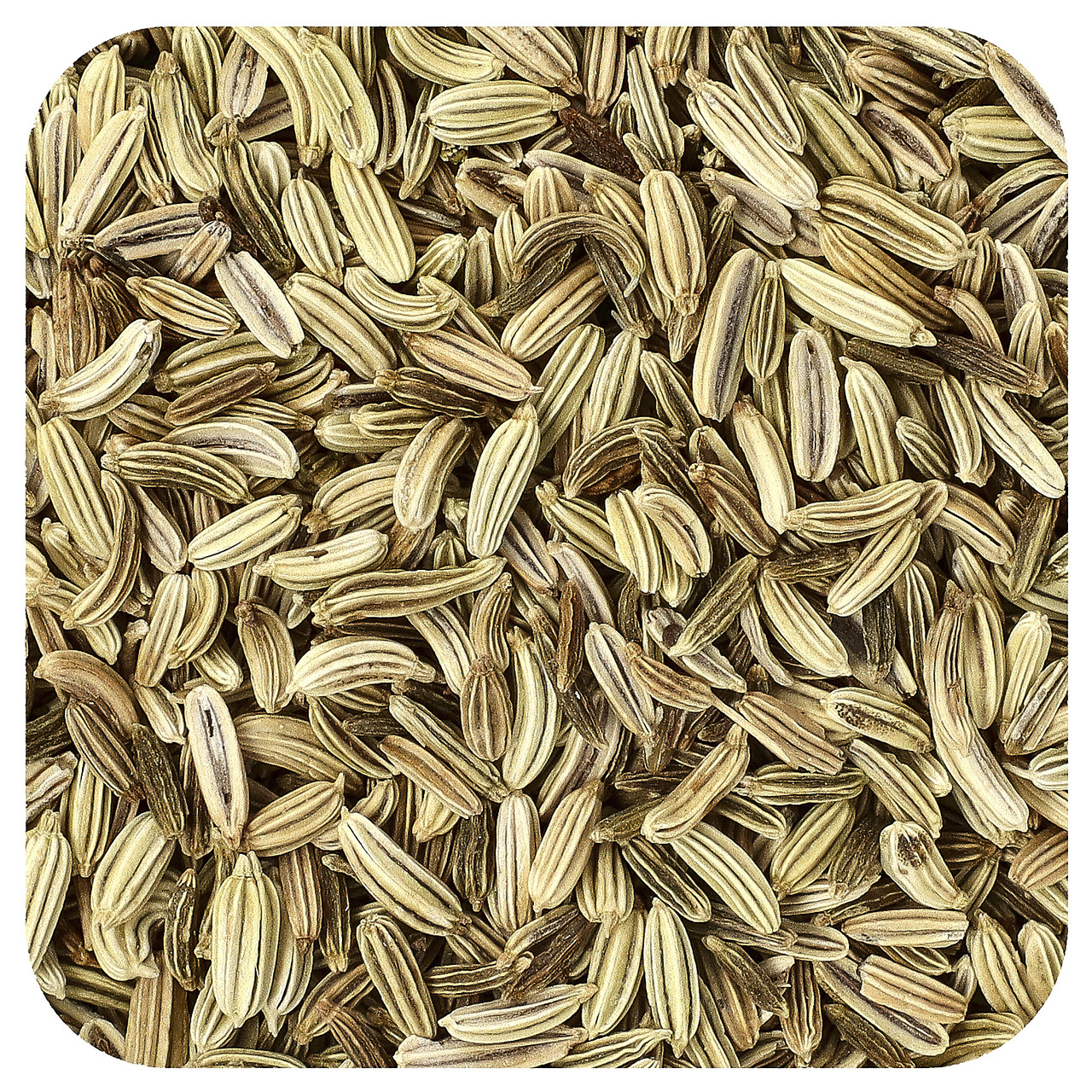 Starwest Botanicals, Цільні натуральні зерна фенхеля, 1 фунт STR-02561, Київ