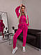 Стильний жіночий велюровий спортивно-прогулянковий костюм двійка 42-44, 44-46, 46-48 (с, м, л), фото 6