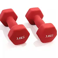 Гантелі