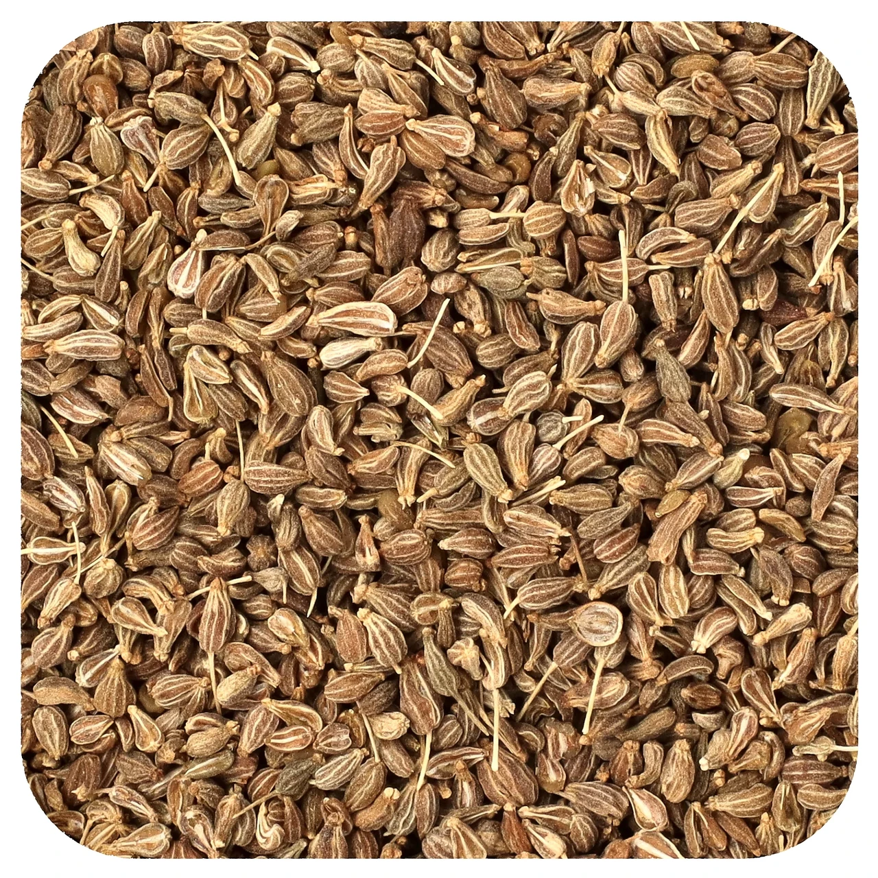 Starwest Botanicals, Anise Seed Whole, Organic, 1 lb STR-02517, Київ