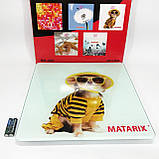 Ваги для підлоги MATARIX MX-452 180 кг, Ваги для вимірювання маси тіла, Електронні ваги пес, фото 3