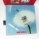 Ваги для підлоги MATARIX MX-452 180 кг, Ваги для вимірювання маси тіла, Електронні ваги кульбаба, фото 7