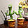 Інтерактивна іграшка Dancing cactus розмовляє танцюючий кактус, м'яка іграшка кактус, Плюшевий кактус, фото 6