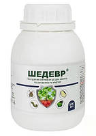 Протруйник Шедевр 500 мл ProtectON