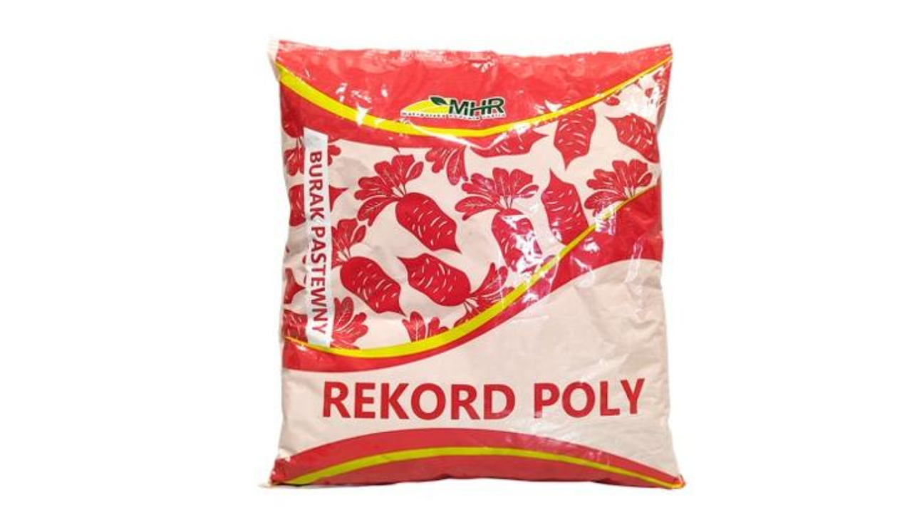 Кормовий буряк Рекорд Полі (Польща) - 0,5 кг, фото 1