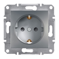 Розетка із заземленням і захисними шторками Шнайдер Асфора Сталь EPH2900262