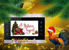 С наступающим Новым 2017 годом!