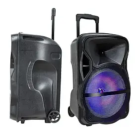 Акустична колонка зі штативом на акумуляторі Temeisheng A12-12 з бездротовою мікрофонною системою