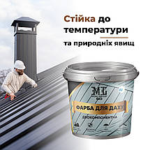 Епоксидна фарба для даху 1 кг 2к., фото 4
