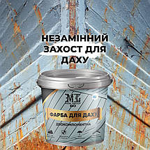 Епоксидна фарба для даху 1 кг 2к., фото 5