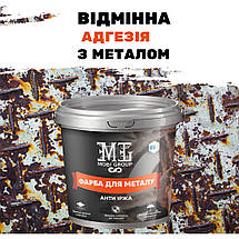Епоксидна фарба для металу Голуба 4.5 кг, фото 6