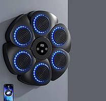 Боксерська розумна мішень Musical boxing target