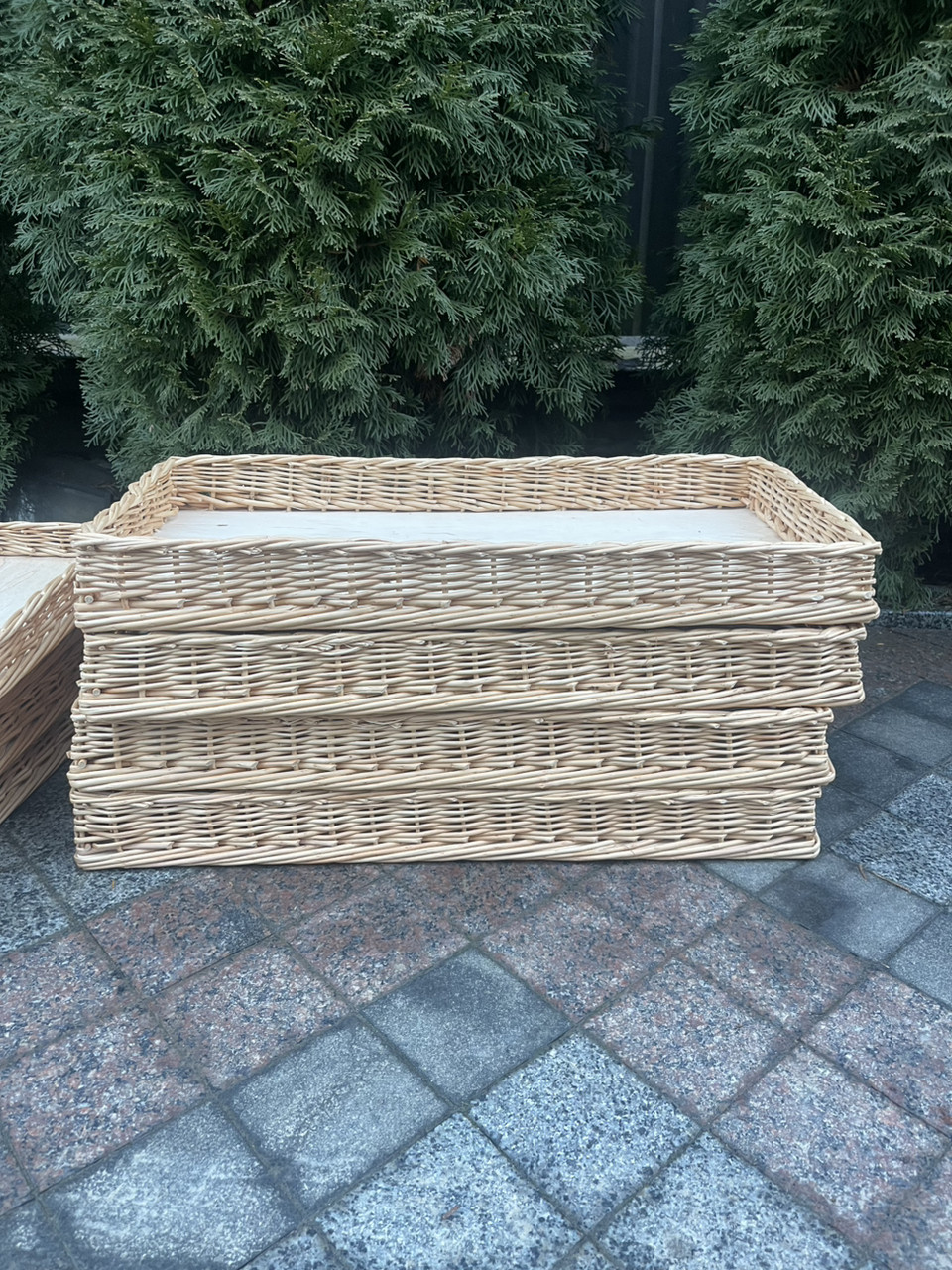 Лоток з цільної лози