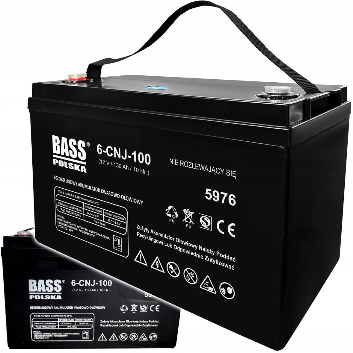 Акумулятор VRLA AGM 12V 130Ah Bass Polska 5976 для ДБЖ та інвертерів