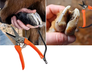 Кліщі для корекції копит для овець та кіз