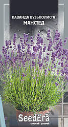 Насіння лаванди вузьколиста Манстед 0,1г ТМ SeedEra