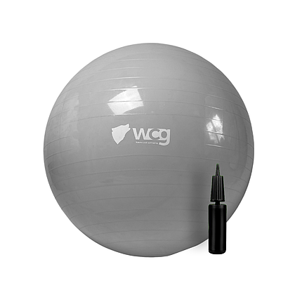 М'яч для фітнесу (фітбол) WCG 75 Anti-Burst 250кг Сірий + насос, фото 1