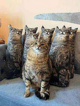 М'яка іграшка кот Степан, подушка-обіймашка, 45 см