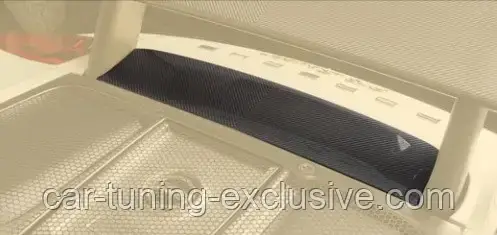 MANSORY rear panel for Porsche 918 Spyder