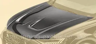 MANSORY front bonnet for Audi RSQ8