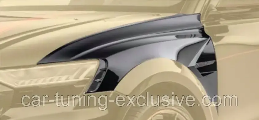 MANSORY front fenders with MANSORY logo for Audi RSQ8