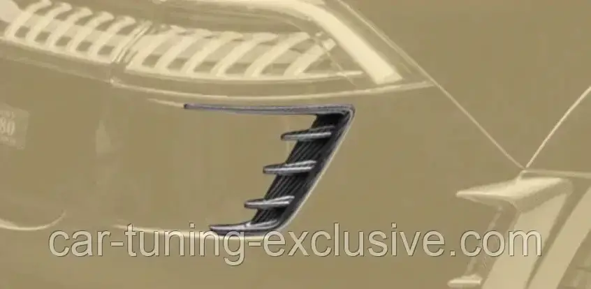 MANSORY rear bumper splitter for Audi RSQ8, фото 1