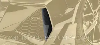 MANSORY front bumper side splitter for Audi RS6 Avant