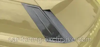 MANSORY d-pillar cover for Range Rover Sport SVR, фото 1