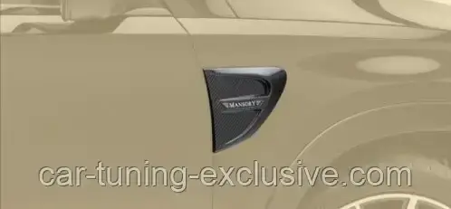 MANSORY front fender panel for Mercedes GLE-class Coupe C167, фото 1