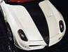 MANSORY STALLONE Style kit for Ferrari 599 GTO, фото 5