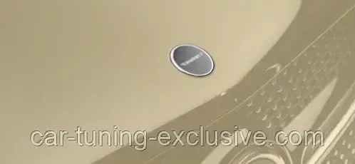 MANSORY engine bonnet emblem with logo for Mercedes GLS-class, фото 1