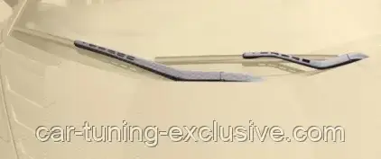 MANSORY carbon windshield wipers cover for Lamborghini Aventador