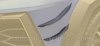 MANSORY race flaps for MANSORY Wide body front bumper - CARBON for Lamborghini Urus