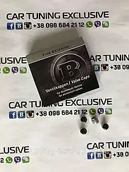 BRABUS caps on nipple for Mercedes Mercedes C-class W205