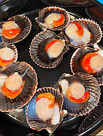 Морський гребінець з ікрою в напів мушлі 1 кг