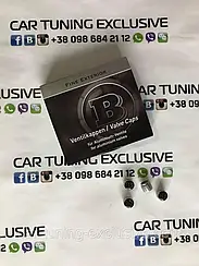 BRABUS caps on nipple for Mercedes G-class