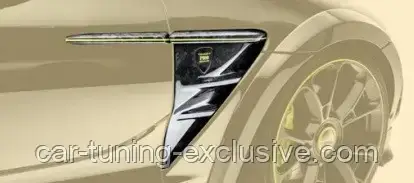 MANSORY front fender panel for Aston Martin DBX, фото 1
